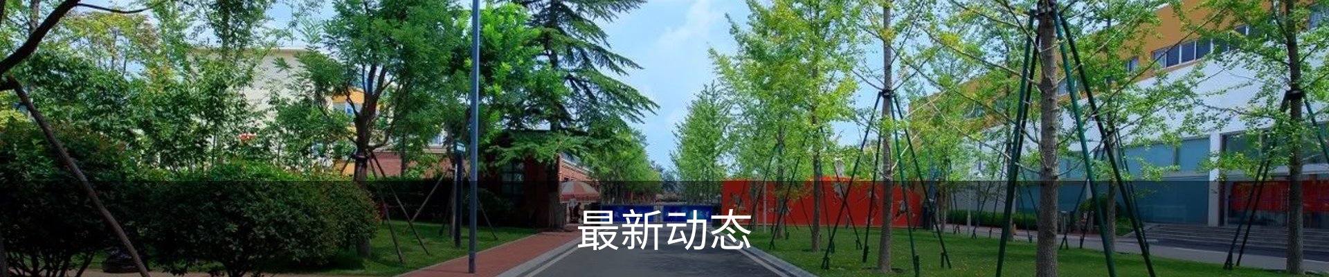 最新动态